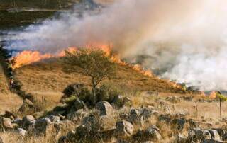 how wildfire smoke residue affects repainting projects