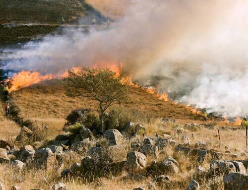 How Wildfire Smoke Residue Affects Repainting Projects