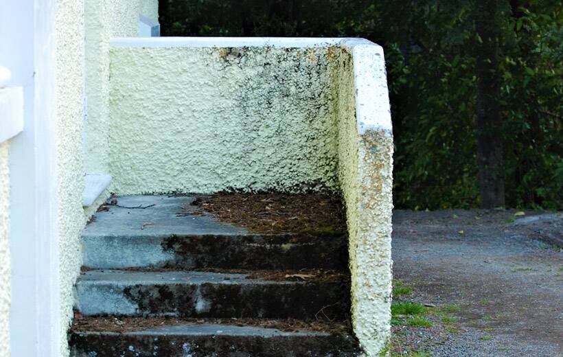 decomposing leaves release tannins that can stain different surfaces