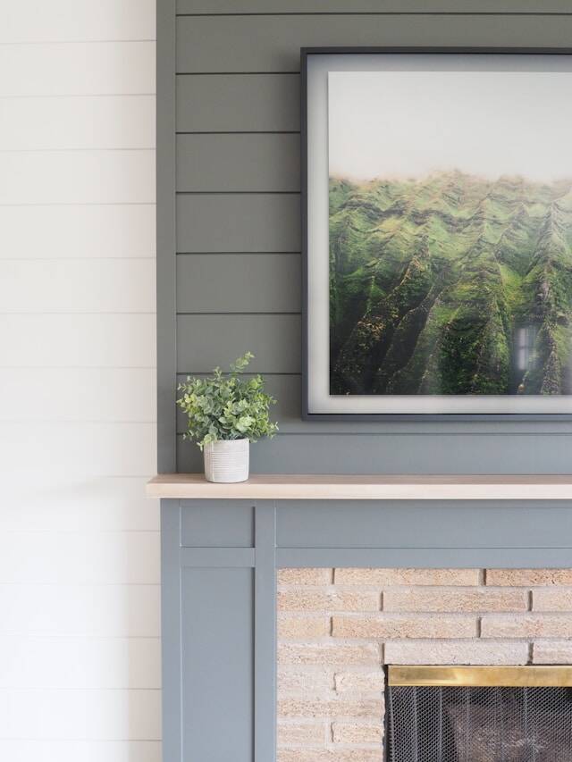 fireplace with wainscotting, fresh paint, and eucalyptus