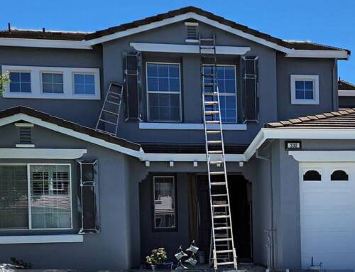 Latex vs. Oil-Based Paint: Which Is Best for Exterior Painting?