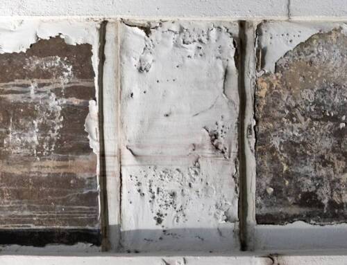 5 Big Tips for Repainting Previously Painted Brick