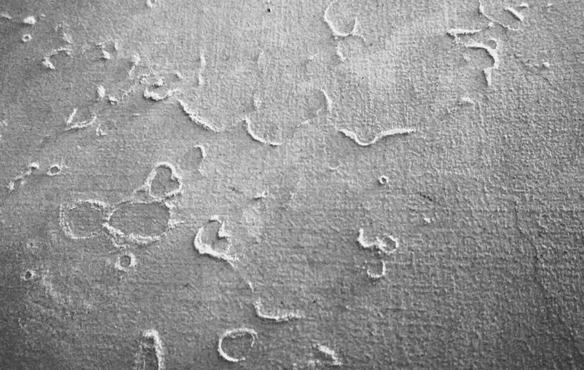 how to identify and fix efflorescence before painting